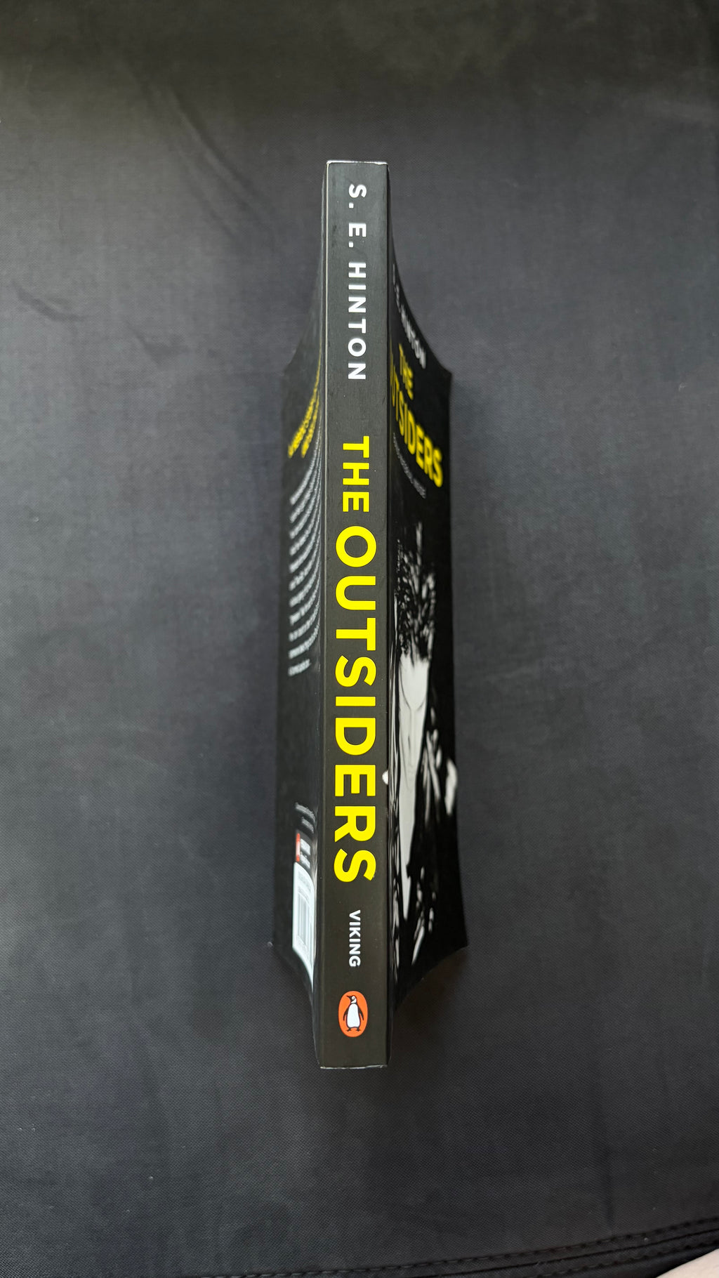 The Outsiders - S. E. Hinton